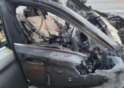 
										BMW 520d full									