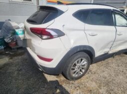 
										HYUNDAI Tucson full									