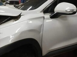 
										HYUNDAI SANTA FE full									