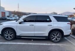 
										HYUNDAI PALISADE full									