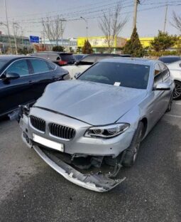 
										BMW 520d full									
