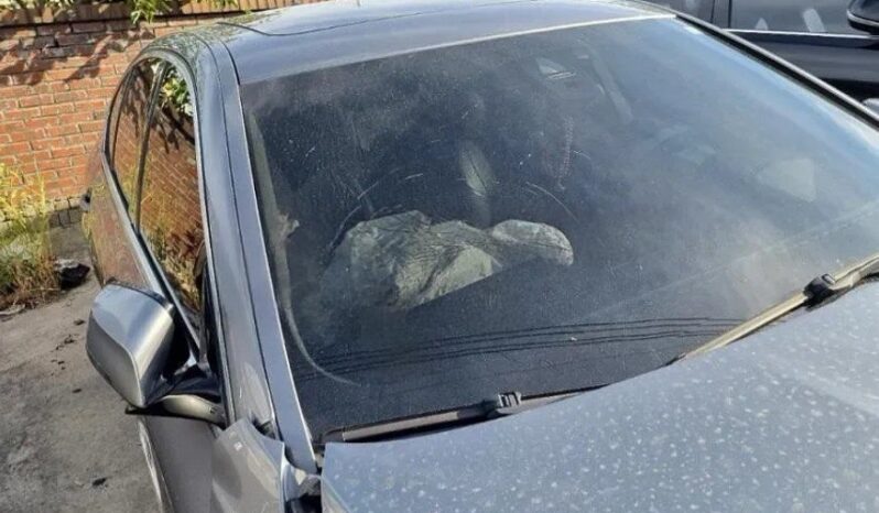 
								BMW 520d Xdrive full									