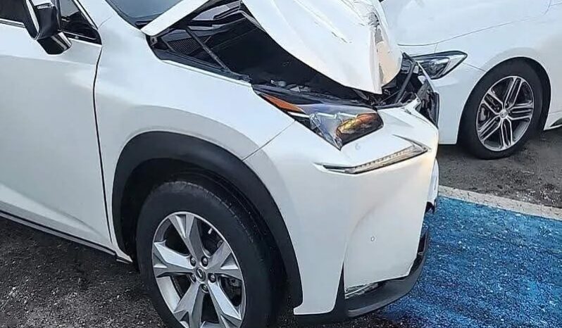 
								LEXUS NX300H full									