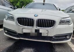 
										BMW 520d Xdrive full									