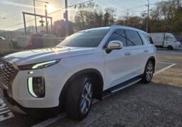 
										HYUNDAI PALISADE full									