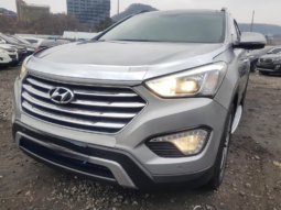 
										HYUNDAI MAXCRUZ full									