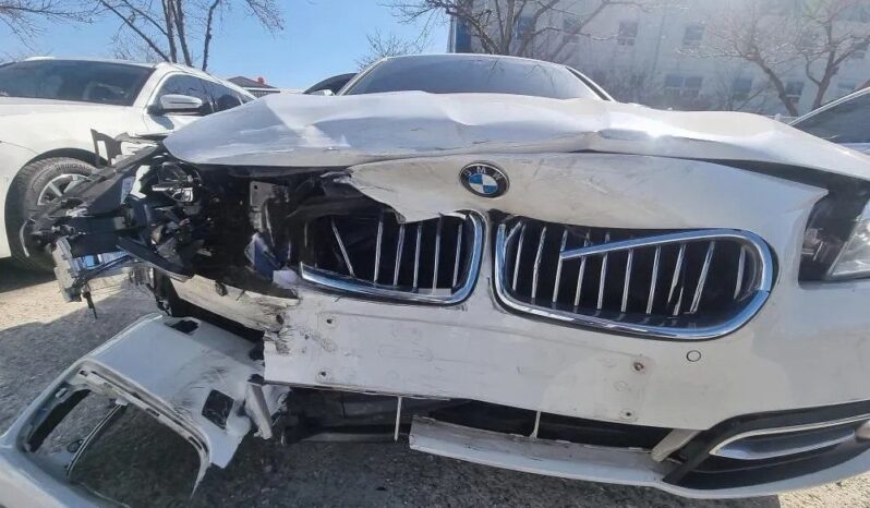 
								BMW 520d full									