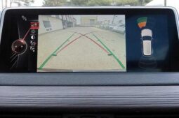 
										BMW X5 xDrive30d full									