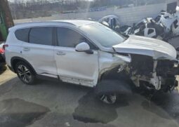 
										HYUNDAI SANTA FE full									
