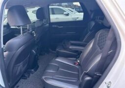 
										HYUNDAI PALISADE full									