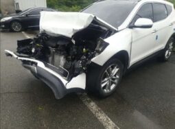 
										HYUNDAI SANTA FE full									