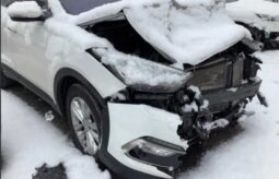 
										HYUNDAI SANTA FE full									