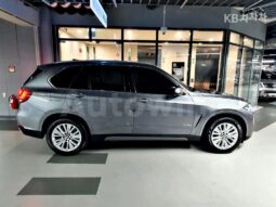 
										BMW X5 xDrive30d full									
