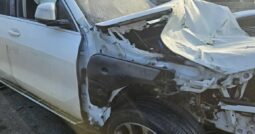 
										BMW X5 xDrive30d full									