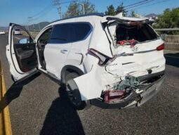 
										HYUNDAI SANTA FE full									