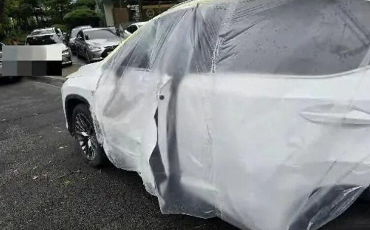 
								Lexus RX 450H full									