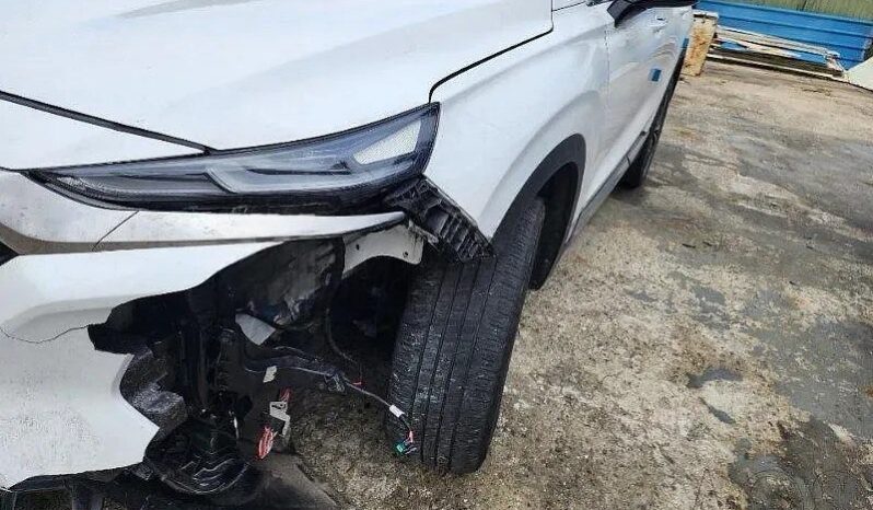 
								HYUNDAI SANTA FE full									
