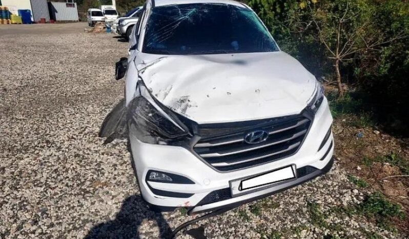 
								HYUNDAI Tucson full									