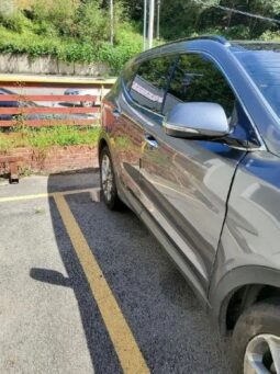 
										HYUNDAI SANTA FE full									