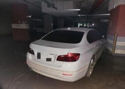 
										BMW 520d full									