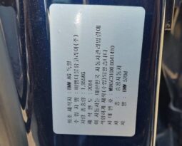 
										BMW 520d full									