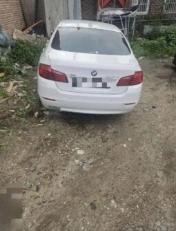 
										BMW 520d full									