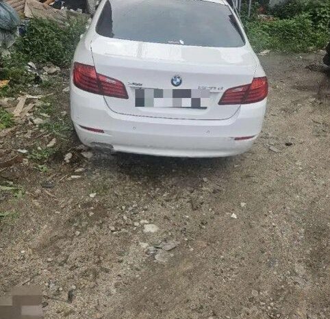 
								BMW 520d full									