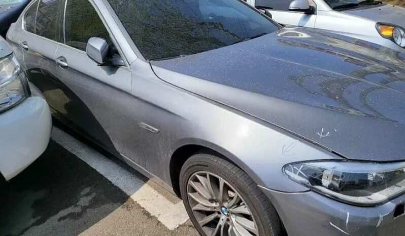 
								BMW 520d full									