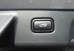 
										HYUNDAI PALISADE full									