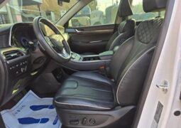 
										HYUNDAI PALISADE full									