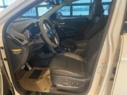 
										HYUNDAI MAXCRUZ full									