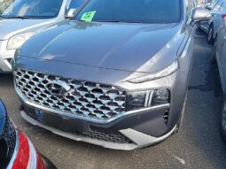 
										HYUNDAI SANTA FE full									