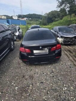 
										BMW 520d full									