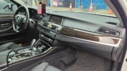 
										BMW 520d full									
