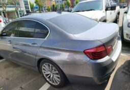 
										BMW 520d full									