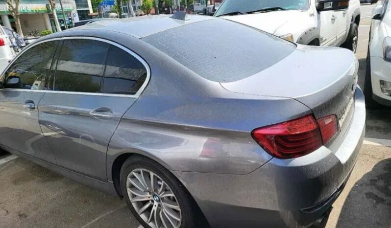 
								BMW 520d full									