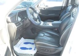 
										HYUNDAI PALISADE full									