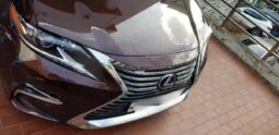 
										LEXUS ES300h full									