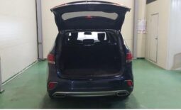 
										HYUNDAI MAXCRUZ full									