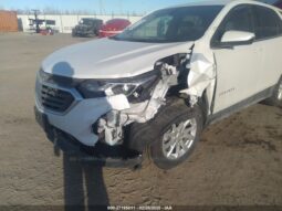 
										2019 Chevrolet Equinox full									