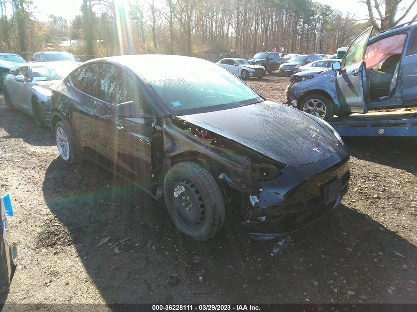 2021 Tesla Model y