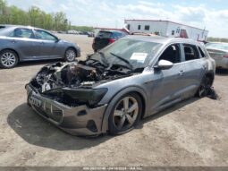 
										2019 Audi E-tron full									