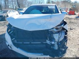 
										2019 Chevrolet Equinox full									