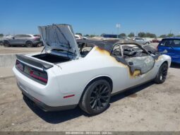 
										2019 Dodge Challenger full									