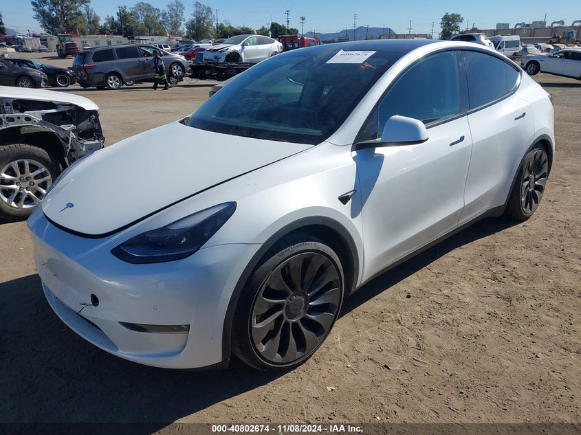 2022 Tesla Model y