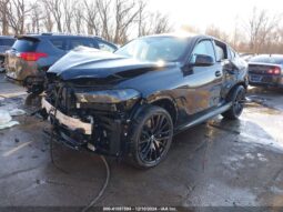 
										2025 BMW X6 full									