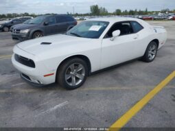 
										2019 Dodge Challenger full									