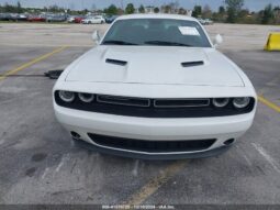 
										2019 Dodge Challenger full									
