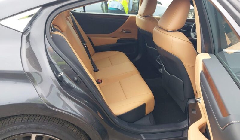 
								2024 Lexus Es 350 full									