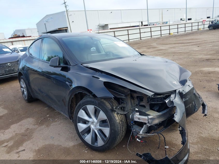 2024 Tesla Model y